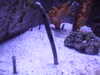 20080802181021-DSCF2490.JPG