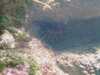 20080802181150-IMAG0391.jpg