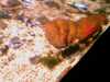 20080802181237-IMAG0393.jpg