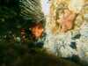 20080802181649-IMAG0398.jpg