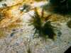 20080802181658-IMAG0399.jpg