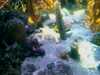 20080802181823-IMAG0402.jpg