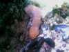 20080802181838-IMAG0403.jpg