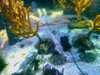 20080802181857-IMAG0404.jpg