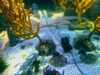20080802181910-IMAG0405.jpg