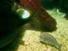 20080802182058-IMAG0408.jpg