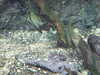 20080802182106-DSCF2499.JPG