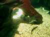 20080802182106-IMAG0409.jpg