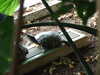 20080802182135-DSCF2500.JPG