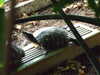 20080802182139-DSCF2501.JPG