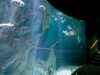 20080802182208-IMAG0411.jpg