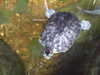 20080802182220-DSCF2503.JPG