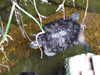 20080802182228-DSCF2504.JPG