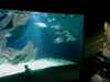 20080802182238-IMAG0412.jpg