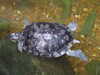 20080802182250-DSCF2506.JPG
