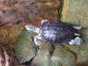 20080802182359-DSCF2509.JPG