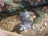 20080802182443-DSCF2511.JPG