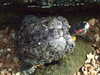 20080802182510-DSCF2512.JPG