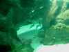 20080802183159-IMAG0415.jpg