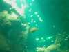 20080802183410-IMAG0418.jpg