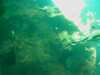 20080802183428-IMAG0419.jpg