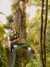 20080802183508-IMAG0420.jpg