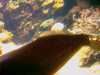 20080802183623-IMAG0423.jpg