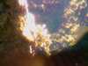 20080802183633-IMAG0424.jpg