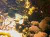 20080802183715-IMAG0426.jpg