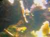 20080802183814-IMAG0429.jpg