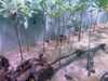 20080802183919-IMAG0432.jpg