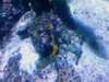 20080802184058-IMAG0434.jpg