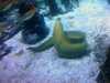 20080802184152-IMAG0436.jpg