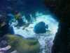 20080802184216-IMAG0438.jpg