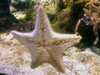20080802184340-IMAG0440.jpg