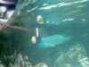 20080802184621-IMAG0448.jpg