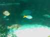 20080802184647-IMAG0450.jpg