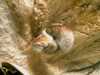 20080802184846-IMAG0453.jpg