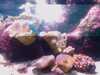 20080802185003-IMAG0456.jpg