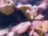 20080802185015-IMAG0457.jpg