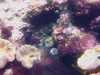 20080802185052-IMAG0458.jpg
