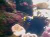 20080802185115-IMAG0460.jpg