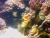 20080802185220-IMAG0461.jpg