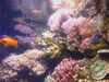 20080802185228-IMAG0462.jpg