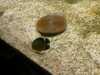 20080802185336-IMAG0466.jpg