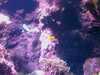 20080802185452-IMAG0469.jpg