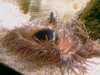 20080802185639-IMAG0474.jpg