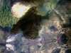 20080802185829-IMAG0479.jpg