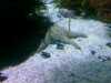 20080802185848-IMAG0480.jpg