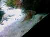 20080802185923-IMAG0481.jpg